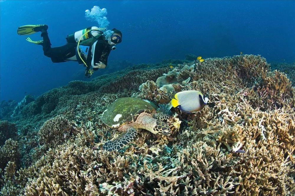 海底寻宝逃脱2