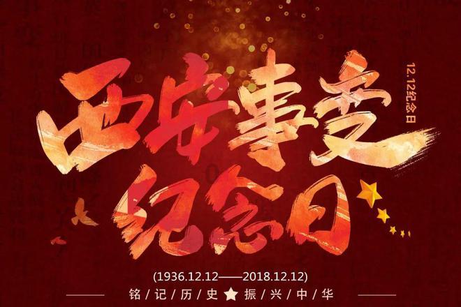 逃离金刚鹦鹉森林